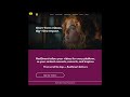 ReelSmart by MVP – Fast, Polished, Short-Form Video Editing for Reels, TikTok &amp; Shorts