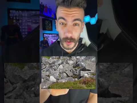 أتحداكم تقولو اسم الطائر الي في الصورة