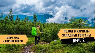 Поход в Карпаты. Самый живописный маршрут по Горганам. День 2. От полонины Немецкой до озера Аршица.