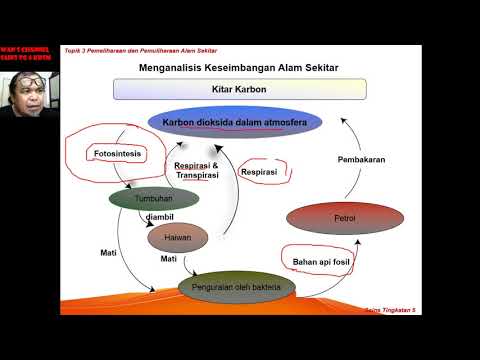 001 Sains Tg 5 Bab 3 - 3.1 Menganalisis Keseimbangan Alam Sekitar