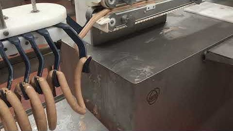 Risco Fill - Link and Hang sausages line. VISCOFAN GLOBUS AUSTRALIA