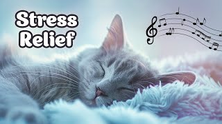 24 Hours Healing Music for Cats & Kittens  Calm Sleepy Kitties