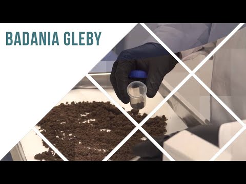 Wideo: Co mówi próbka gleby?