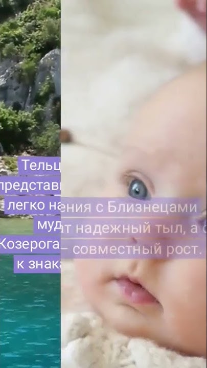 Совместимость Тельца с другими знаками зодиака | Гороскоп | Астрология ...