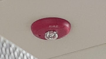 System Sensor Spectralert Advance SCR Remote Strobe