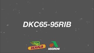 DKC65-95RIB