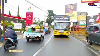 Download Lagu BUS BASURI || TELOLET PINGWIN🐧🐧🐧 MP3