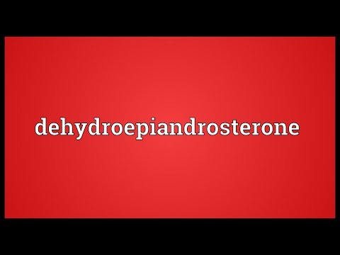 Dehydroepiandrosterone Meaning Youtube