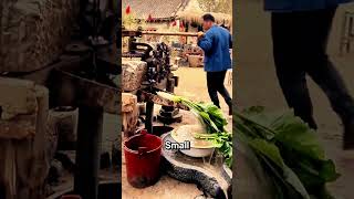 Download Lagu How a Chain Well Pump Lifts Water from Deep Underground MP3