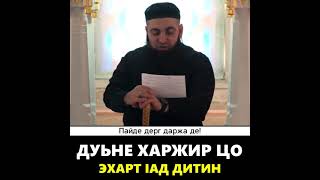 УМАР ХЕХОЕВ ДУЬНЕ ХАРЖИР ЦО ЭХАРТ 1АД ДИТИР ХЬЕХАМ