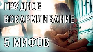 Молоко. Грудное вскармливание. Кормление грудью. Как кормить грудью. Можно ли кормящей? Молоко. Грудное вскармливание. Кормление грудью. Как кормить грудью. Можно ли кормящей?