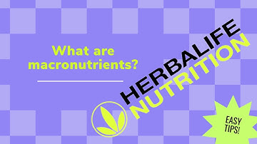 Understanding macronutrients ( macros ) for beginners | Macros 101