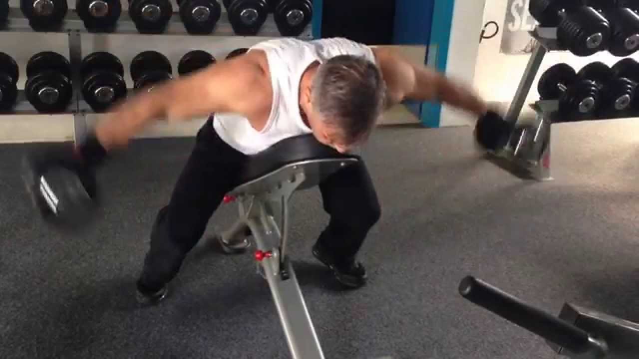 Oiseau Musculation Banc Plan Salle De Bain