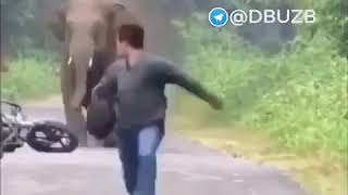 Fil Vs Johon Ishkal Telegram Prikollari Узбоом Тв Kayfiyat Tvkomediya Uzkara Vsevda