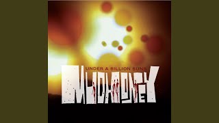 Video thumbnail of "Mudhoney - Blindspots"