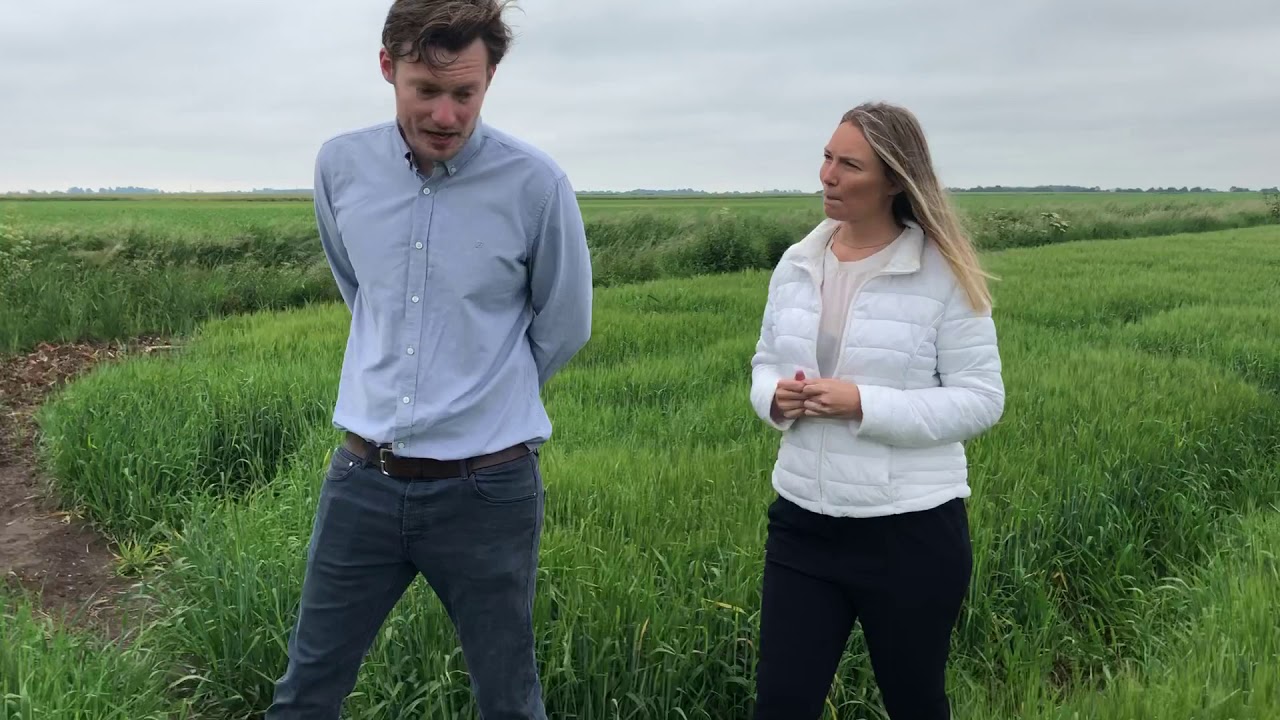 Laughing Dog - We're passionate on being environmentally friendly to our countryside!