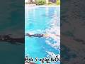 #swimming #swimmin #swim #lanbien #xuhuongtiktok#xuhuongyoutube #freediving #girl #gáixinh #gaixinh