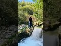 جفرا و هي يا الربع طير الحب الشادي يغني للسماء الزرقاء فلسطين يا بلادي يا أجمل البلدان في الكون 