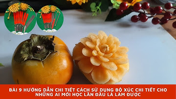 Bài 9 Hướng dẫn chi tiết cách sử dụng bộ xúc chi tiết cho những ai mới học lần đầu là làm được