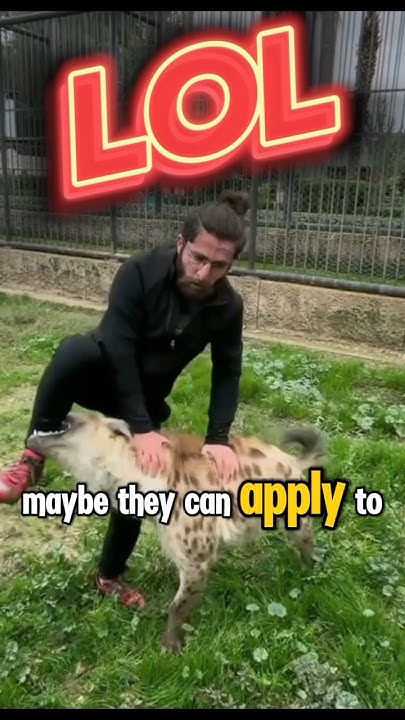 Female Hyenas have what...? #shorts #fyp #funny #funnyshorts #comedy #