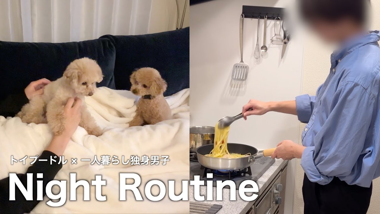 Две собаки и холостяк / Неженатый / Дождливый день / Ночная рутина