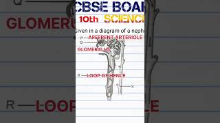 NCERT science diagram question#biology #biologyshorts #vviquestion