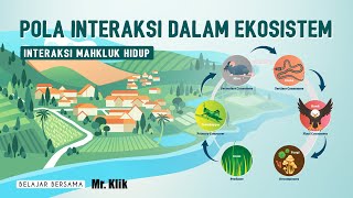 INTERACTION PATTERNS IN ECOSYSTEMS