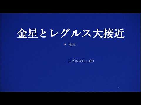 にゃんた - YouTube