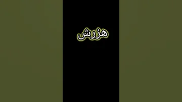 ميكس بين اغنيه شو العود المفترى وانتى لوزه غناء حلقولو ومودي امين 