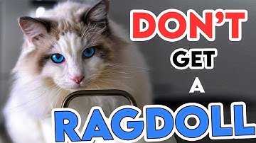 This Is Why You Shouldn