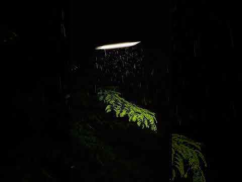 اكتب شي توجر عليه ارح سمعك بالقران راحة نفسية ارح قلبك القران الكريم اكسبلور