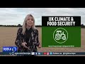 Food security fears in UK