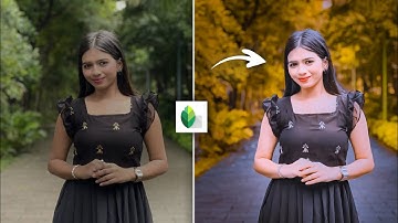 Snapseed Yellow Effect Photo Editing | Snapseed Yellow Tone Photo Editing