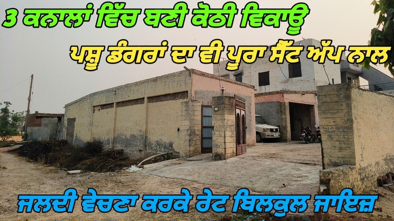 3 Kanal Land House For Sale In Mullanpur - 3 ਕਨਾਲਾਂ ਵਿੱਚ ਬਣਿਆ ਖੱਲ੍ਹਾ-ਡੁੱਲਾ ਮਕਾਨ ਵਿਕਾਊ