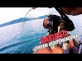 #47- RAKUSS!!! Umpan Hidup Aku Mengena- Kayak Fishing Malaysia