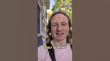 Cities as Organisms — Scaling Laws #physics