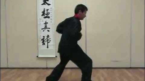 Jesse Tsao Chen Tai Chi Xinjia New Frame Double Fists Strikes