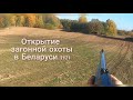 Открытие загонной охоты 2021 в Беларуси с русско-европейскими лайками #7