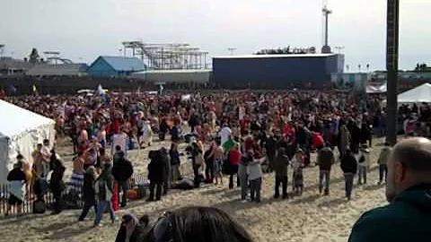 polar bear plunge 2011.