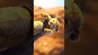 Lion King 4K Edit #Shorts #Shortsfeed