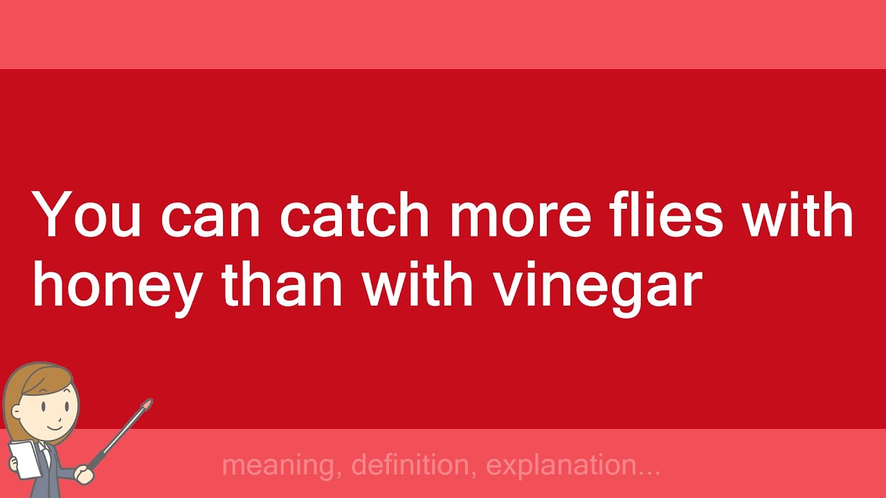 You can catch more flies with honey than with vinegar YouTube