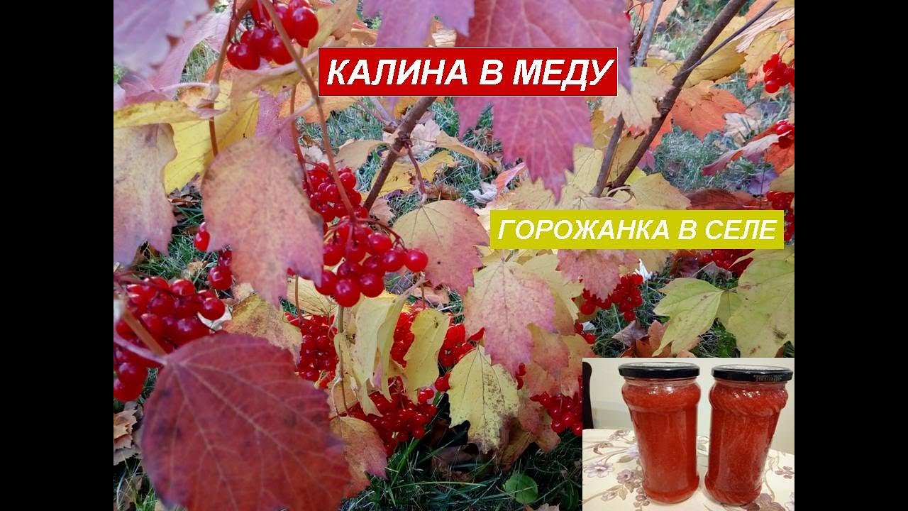Калина в тонере