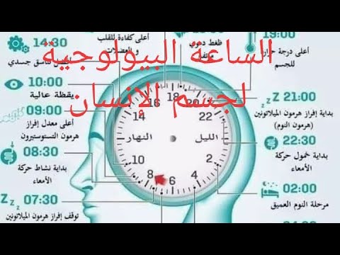 الساعة البيولوجية للنوم