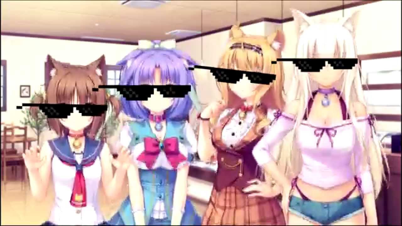 Download How To Nekopara Youtube Desktop Wallpaper Free Get Wallpaper How To Nekopara Youtube Free HD