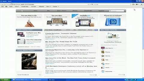 Computer Viruses & Security : How to Delete Safari Cookies