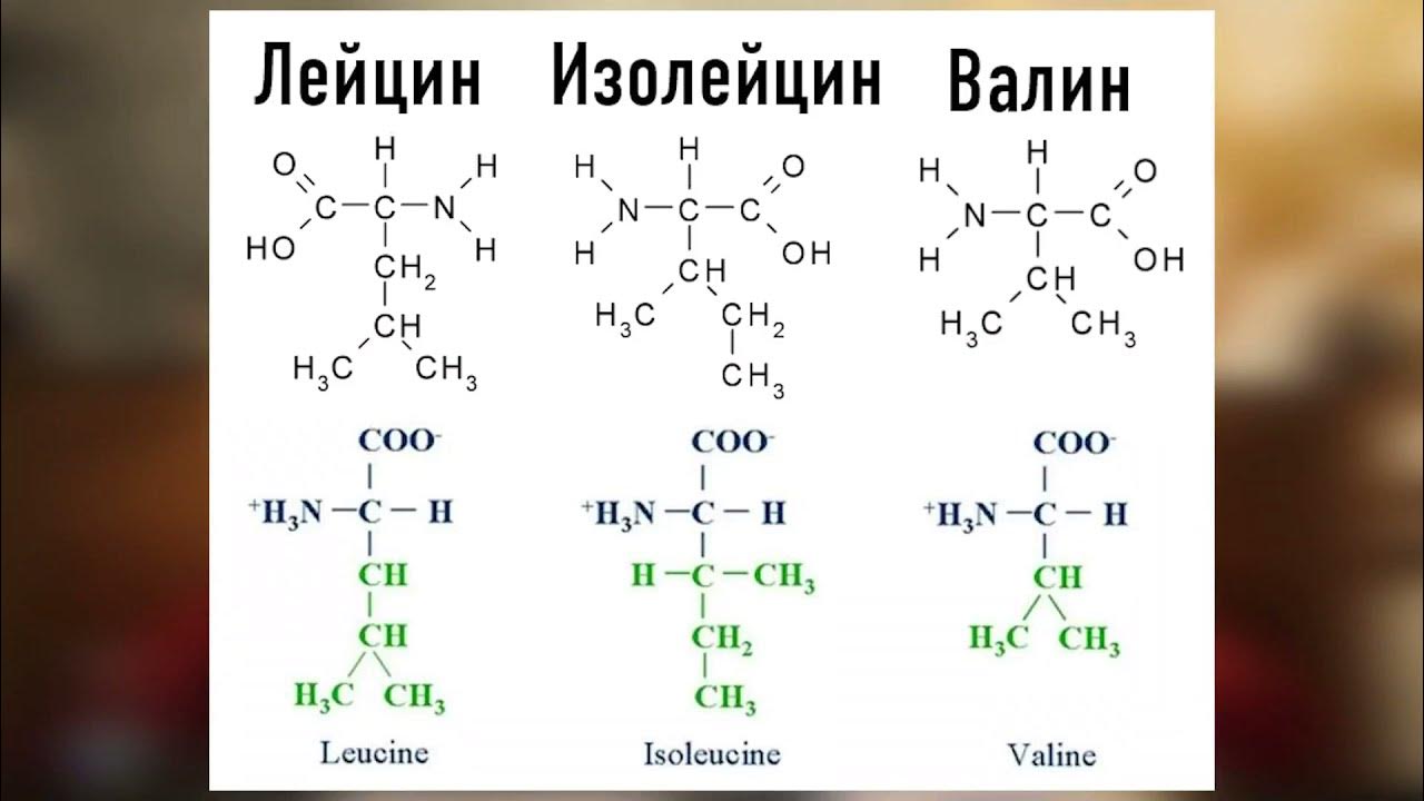 Оптические аминокислоты. Валин структурная формула аминокислота. Валин строение аминокислоты. Лейцин аминокислота структурная формула. Изолейцин аминокислота формула.