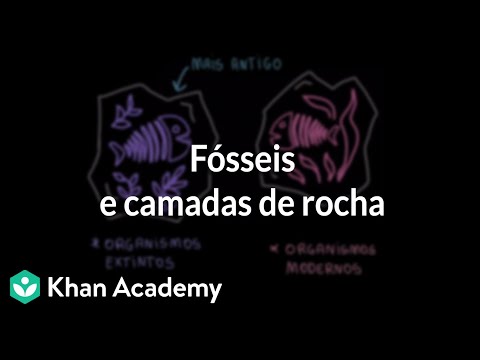 Vídeo: O que a lei das relações transversais envolve apenas rochas sedimentares?