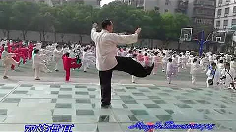 Yang Family 85 form with Zhou You Bin