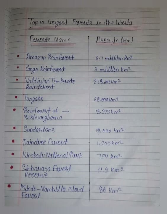 top-10-largest-forest-in-the-world-education-youtube