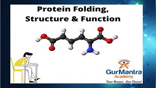 GATE XL | Biochemistry | Lecture-2 | Protein Folding Structure & Function | Gurmantra Academy